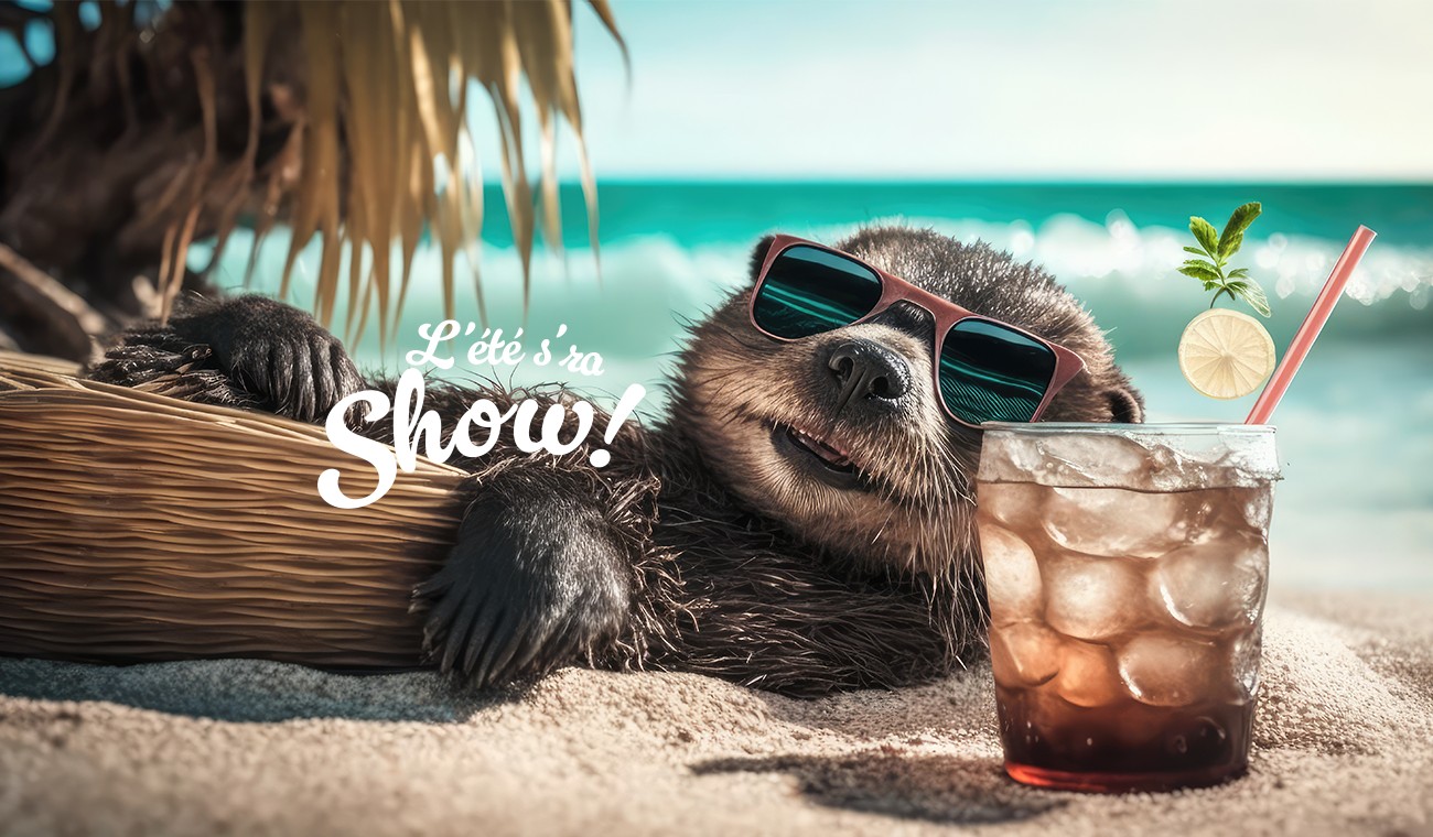 L'ÉTÉ S'RA SHOW ! SAISON 4