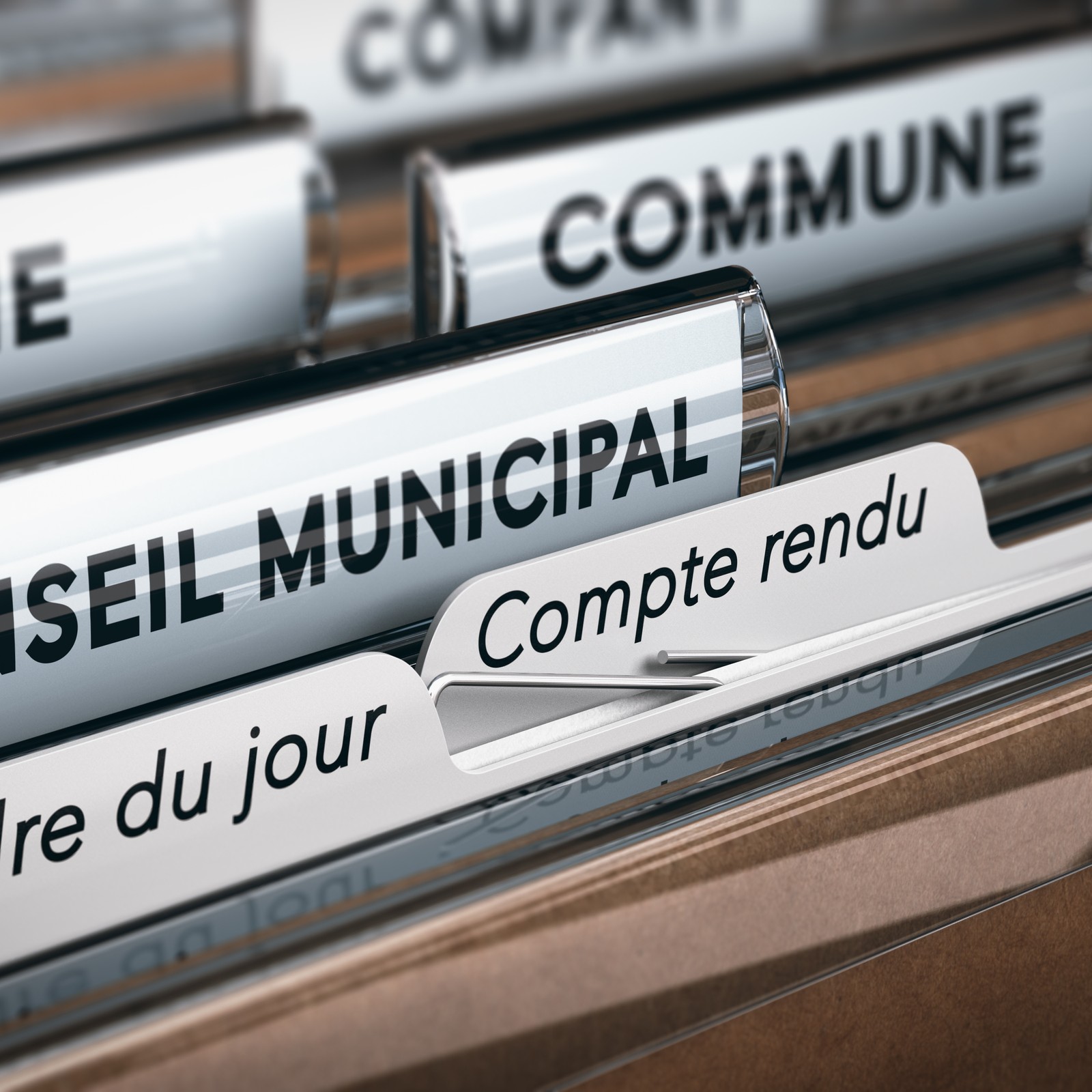 SÉANCES DU CONSEIL MUNICIPAL