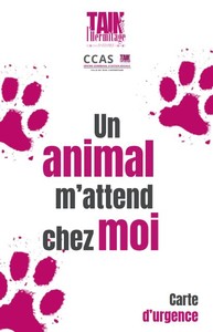 j'ai un animal seul chez moi