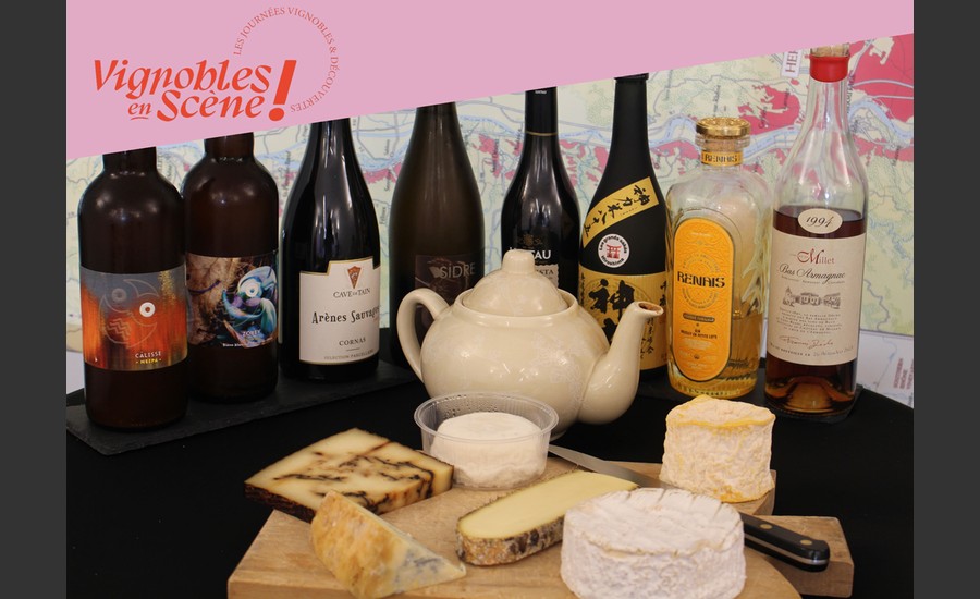 Accords fromages et vins avec Terres de Syrah