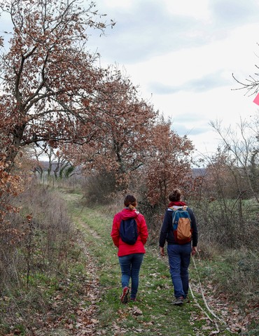 Atelier de prévention et randonnée - Octobre Rose