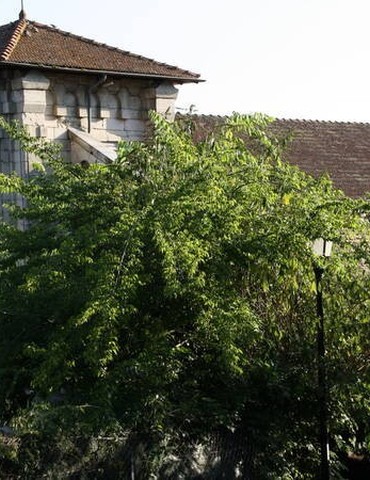Ouverture de l'Eglise de Charmes-sur-l'Herbasse et visite - Journées Européennes du Patrimoine