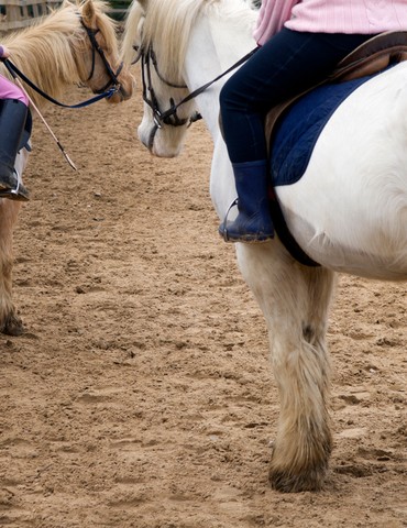 Balade à poney - MC Equin'sense