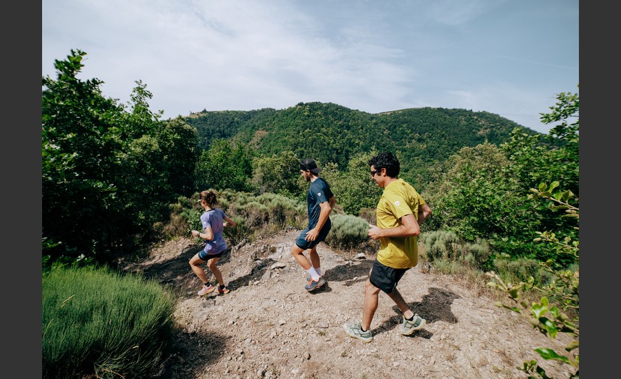Trail