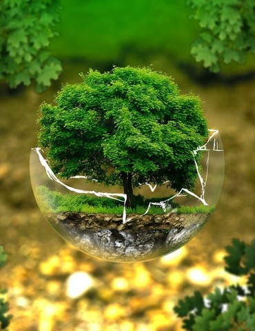 Atelier : Biodiversité en danger, du constat à l’action