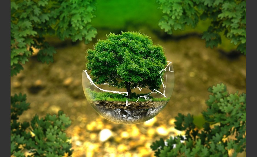 image montrant la nature