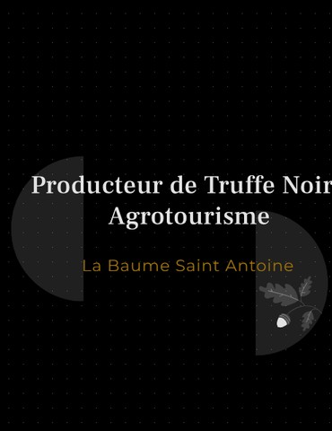 Pique-nique truffé au milieu des chênes- La Baume Saint Antoine