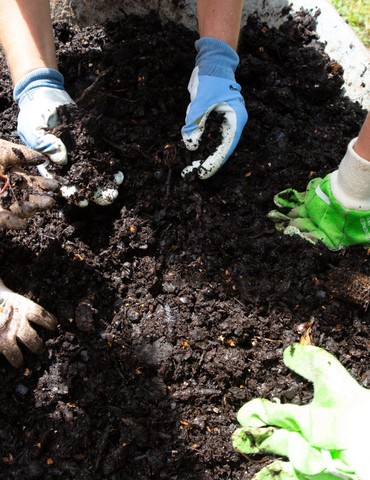 Distribution de compost - Tournon