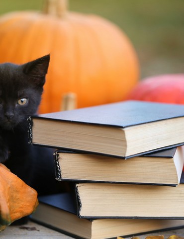 Lecture de contes d'Halloween à La Roche de Glun