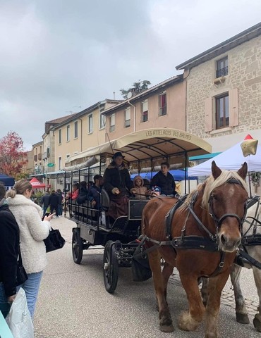 Marché de Noël - Saint Donat sur l'Herbasse