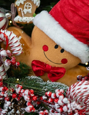 Marché de Noël de Mercurol-Veaunes