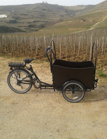 Balades viticoles en vélo électrique