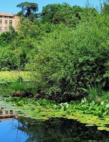 La marche des saveurs 5ème édition - Chavannes
