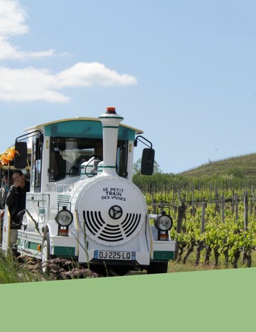 Balade à travers les vignes - Le Petit Train des Vignes