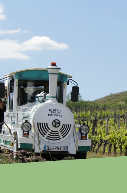 img-balade-a-travers-les-vignes-le-petit-train-des-vignes