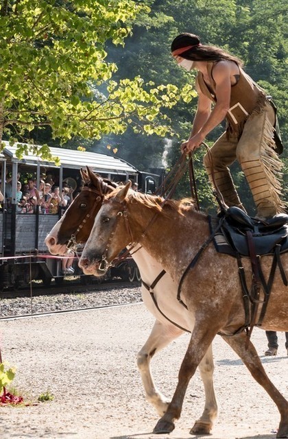 img-train-western-au-train-de-lardeche