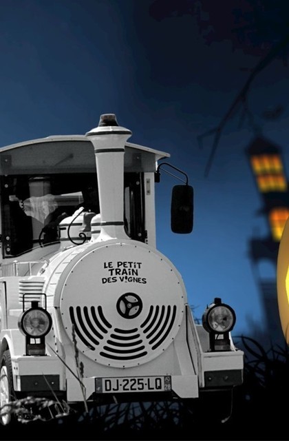 img-petit-train-fantome-dans-les-vignes-de-lhermitage