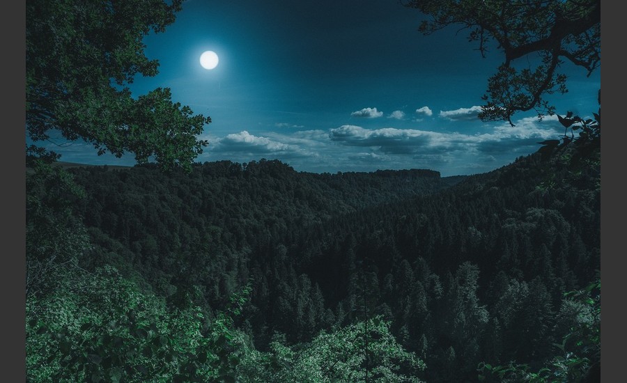 bathernight_bathernay