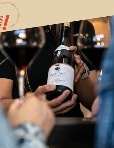 Visite de nos vignes et dégustation en accords mets et vins - Maison M. CHAPOUTIER