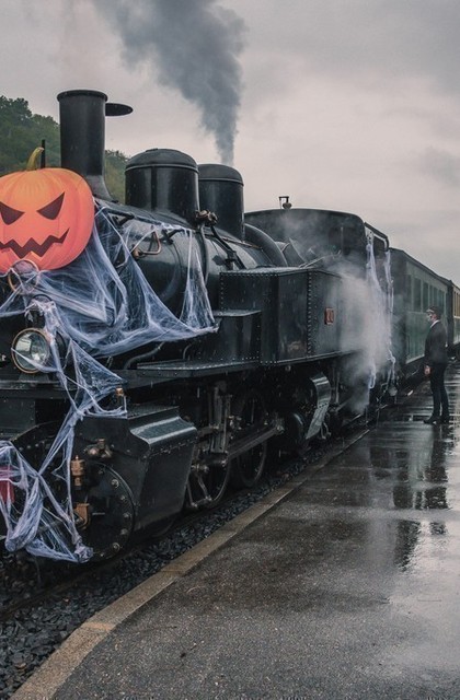 img-le-train-fantome-a-vapeur-train-de-lardeche
