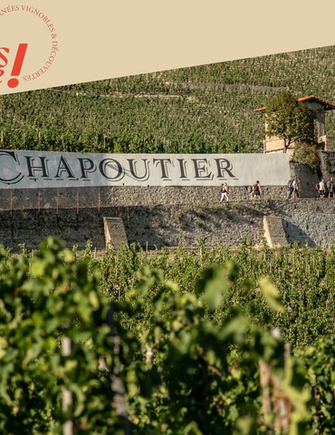 Visite des vignes & dégustation - Maison M. CHAPOUTIER