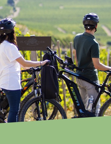 Balade en vélo à assistance éléctrique - Maison M. CHAPOUTIER