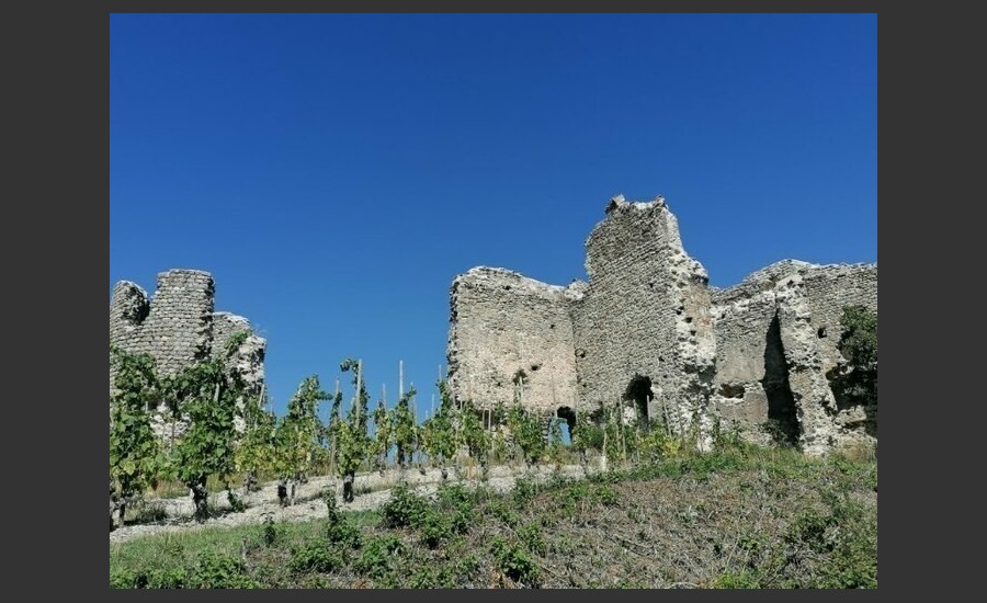 Ruines du château de Larnage