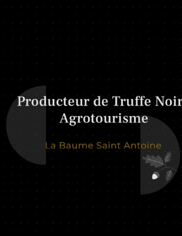 Découverte de la Truffe Noire en Drôme des Collines