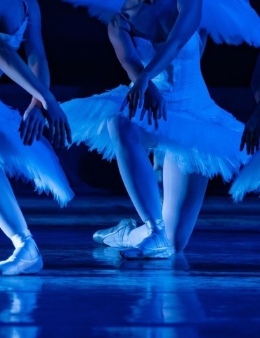 Spectacle "Le lac des cygnes"  - Saison spectacles Théâtre Jacques Bodoin