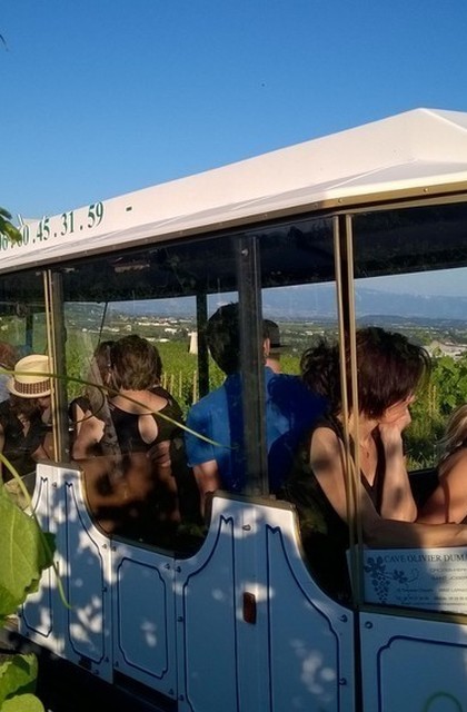 img-a-bon-train-bon-vin-avec-le-petit-train-des-vignes