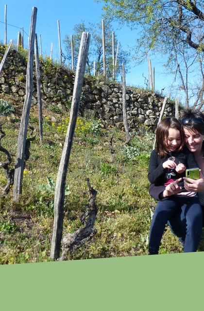 img-chasse-au-tresor-pepin-et-les-origines-de-la-syrah