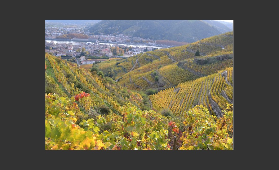Conférence dans le cadre de "Rhône des Côtes"_Tain-l'Hermitage