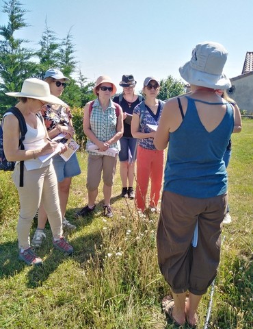 Balade botanique et atelier avec La magie des plantes
