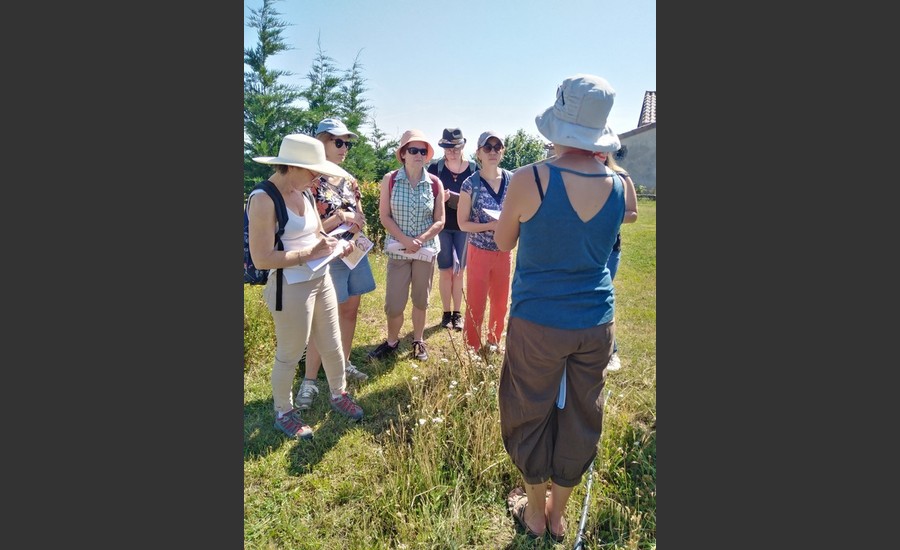 Balade botanique et atelier avec La magie des plantes_Tournon-sur-Rhône