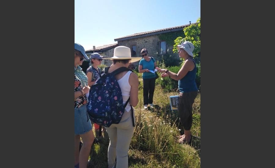 Balade botanique et atelier avec La magie des plantes_Tournon-sur-Rhône
