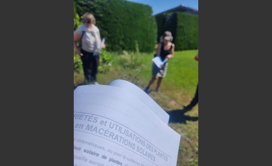 Balade botanique et atelier avec La magie des plantes_Tournon-sur-Rhône