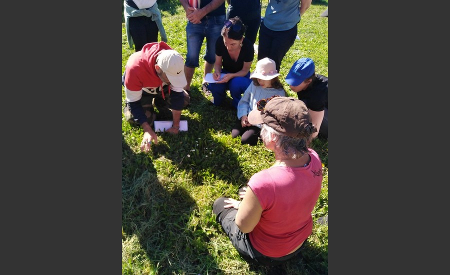 Balade botanique et atelier avec La magie des plantes_Tournon-sur-Rhône