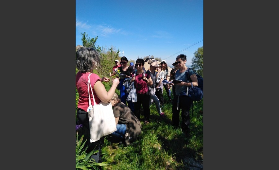 Balade botanique et atelier avec La magie des plantes_Tournon-sur-Rhône