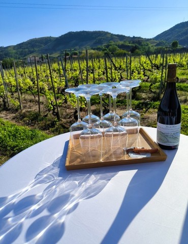 Atelier d'auto-massage et dégustation de vin dans les vignes