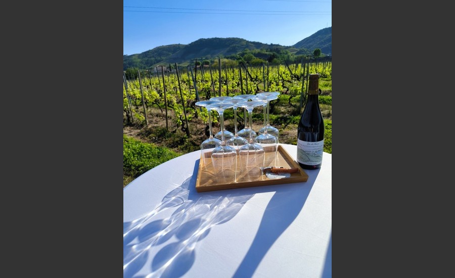 Atelier d'auto-massage et dégustation de vin dans les vignes -,_Tournon-sur-Rhône