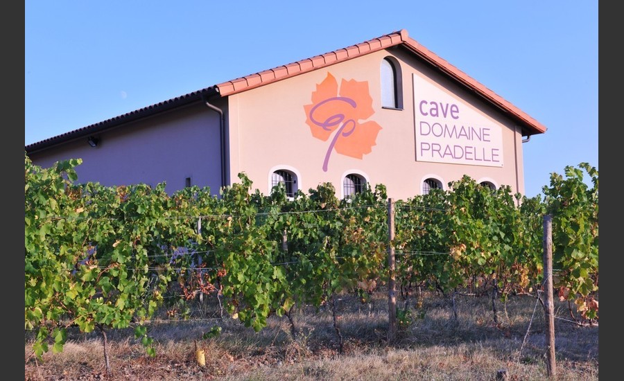 Apéro Vignes au Domaine Pradelle_Chanos-Curson