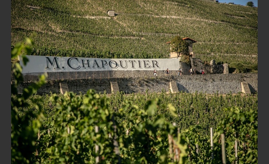 Apéro vignes au Domaine M.CHAPOUTIER_Tain-l'Hermitage