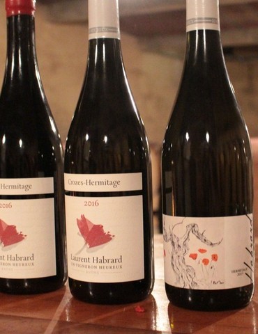 Apéro vignes au Domaine L.Habrard