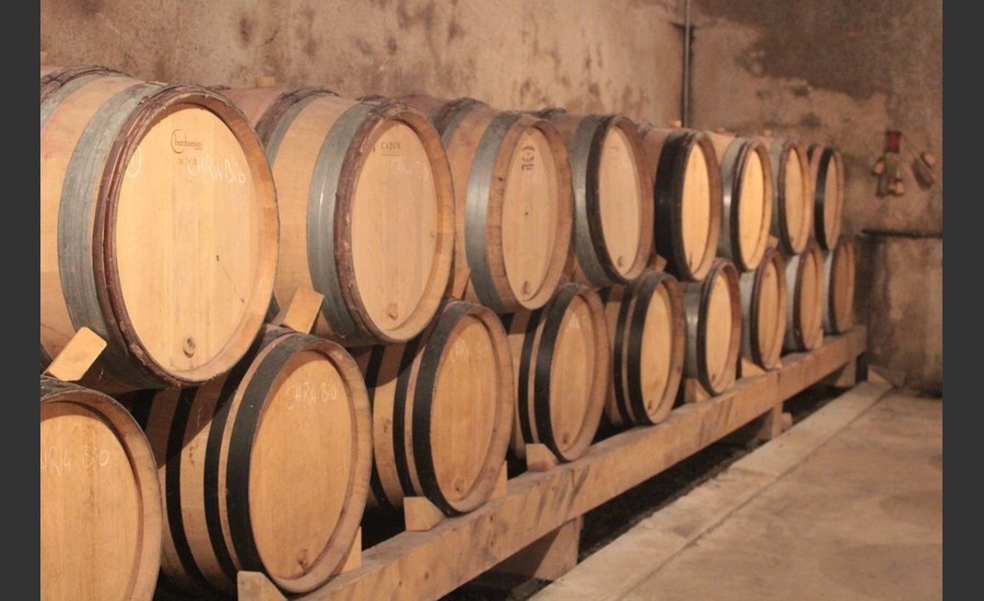 Apéro vignes au Domaine L.Habrard_Gervans