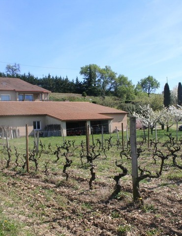 Apéro Vignes  au Domaine des 4 Vents