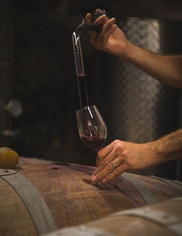 Apéro vignes au Domaine Luyton Fleury