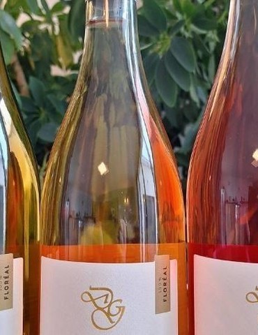 Apéro vignes au Domaines des Granges