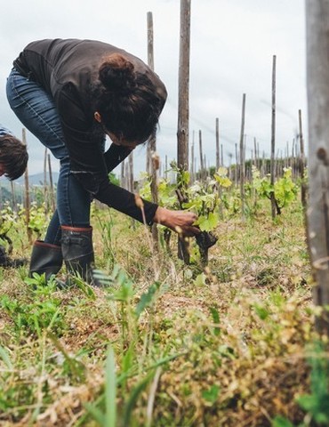 Apéro vignes au Domaine De Boel France