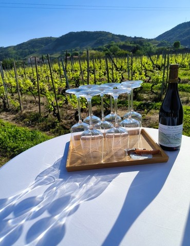 Atelier liftant visage ventouse "cupping" et dégustation de vin