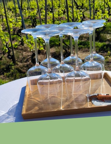 Atelier d'auto-massage et dégustation de vin dans les vignes